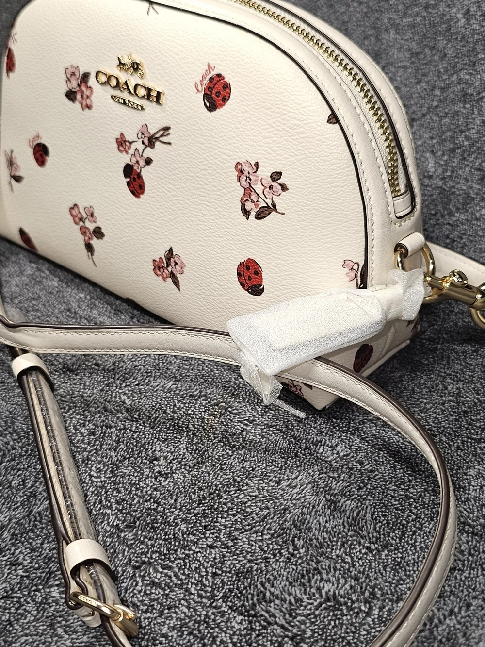 Coach White Floral & Ladybug Crossbody Bag